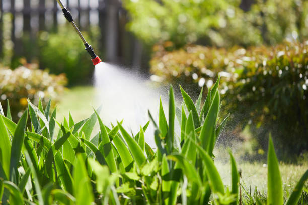24/7 Emergency Wasp Removal experts in Greenfield, IL