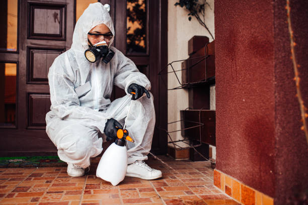 Reliable Wasp Removal contractor in Greenfield, IL by Show Me Pest Control